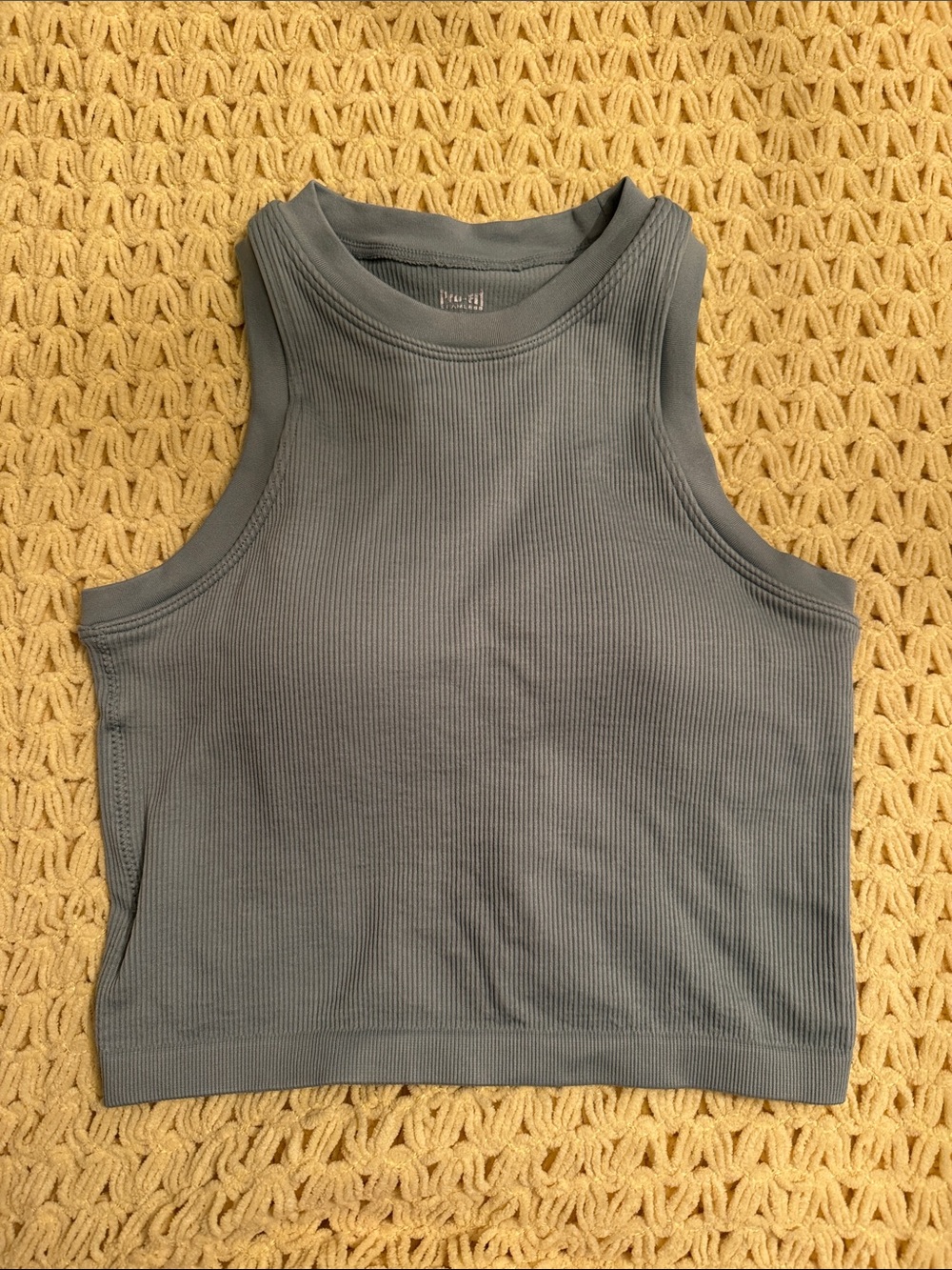 Pro-Fit Seamless Ribbed Sleeveless Crop Tank Top - light blue gray